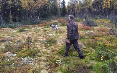 SAMLA  BLODSPORPRØVE