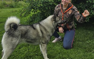 Ungdomsmesterskap Løshund