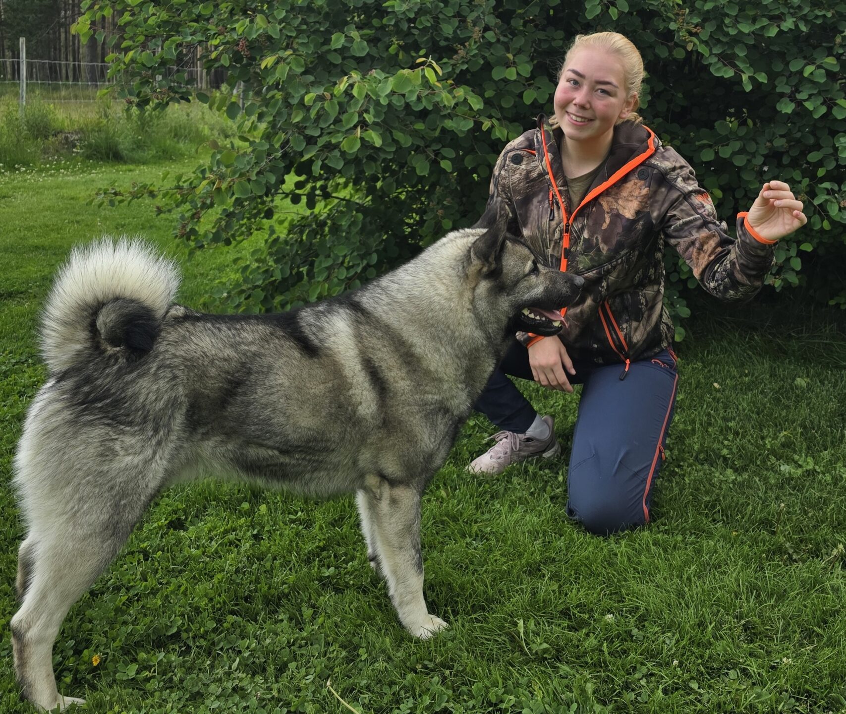 Ungdomsmesterskap Løshund